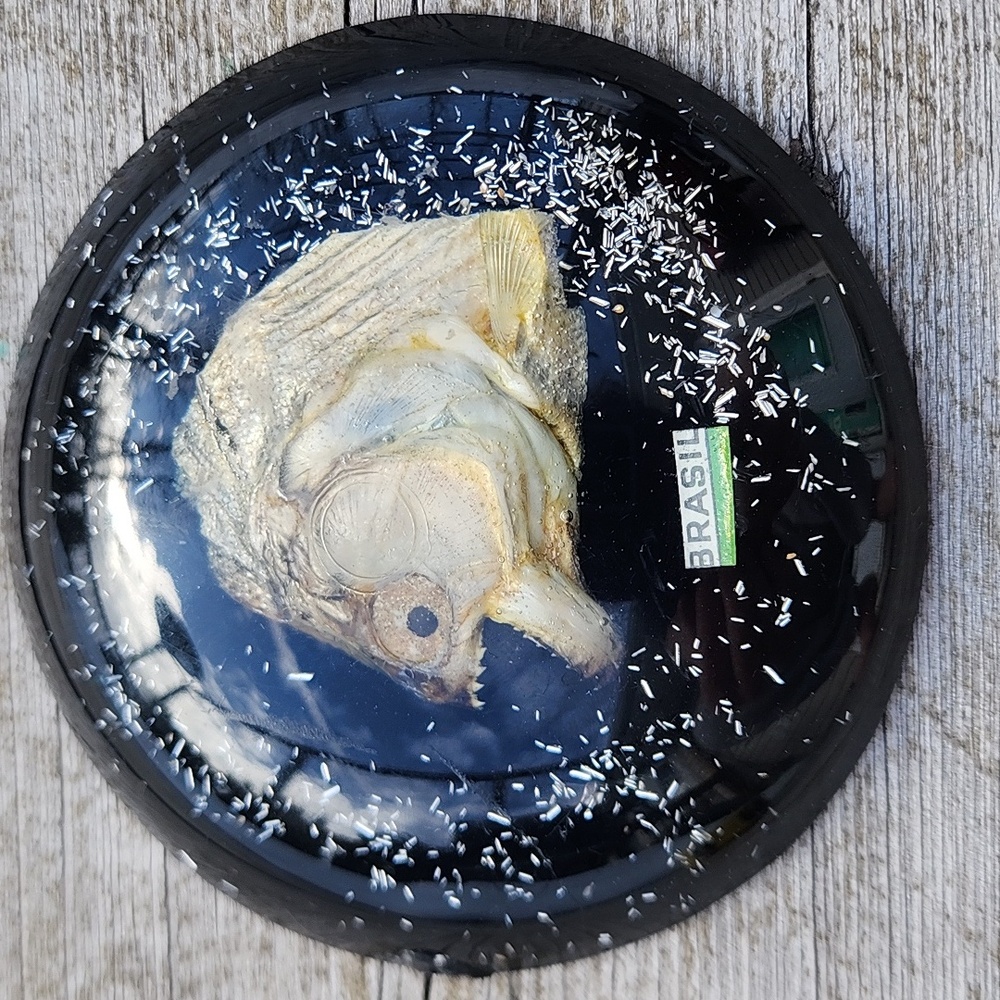 Vintage Piraña Acrylic Paper Weight